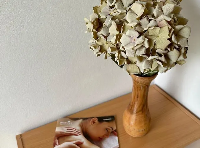 Butterfly Catez ob Savi